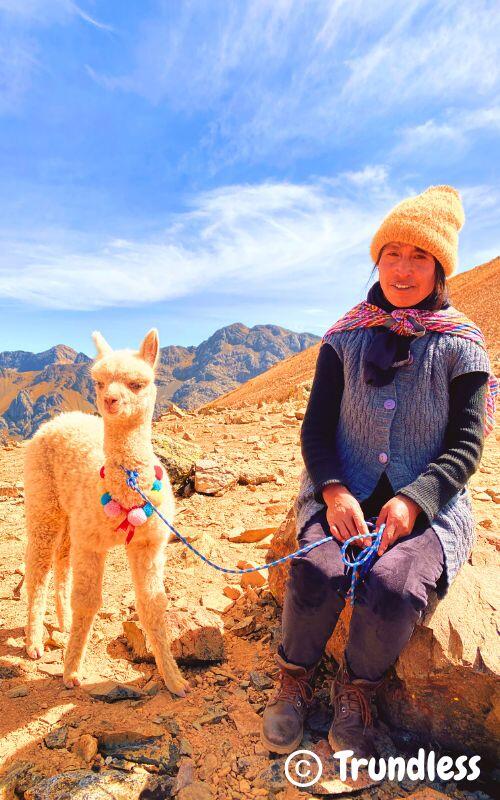 A person wearing warm clothing sits on a rocky terrain next to an alpaca with colorful decorations around its neck. Mountains are visible in the background under a blue sky. Photo by trundless.com