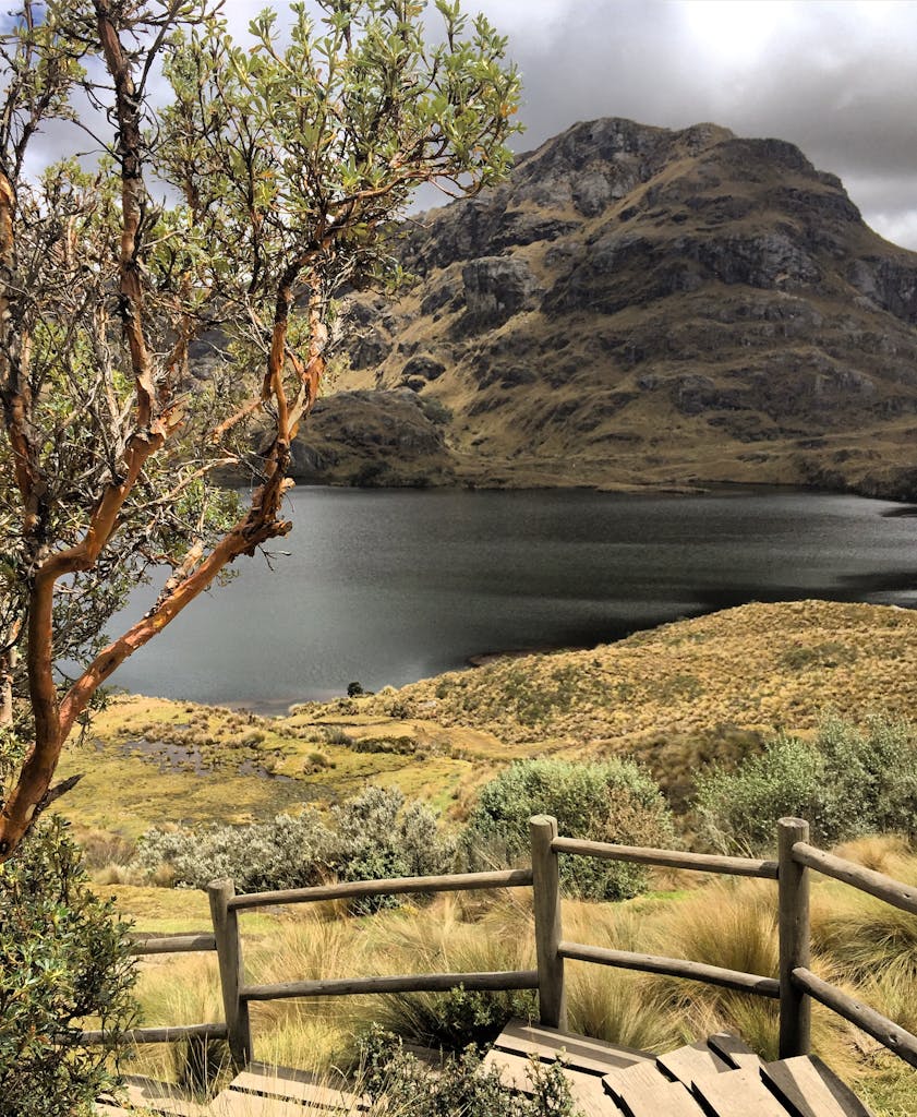 Mountain Beside a Body of Water