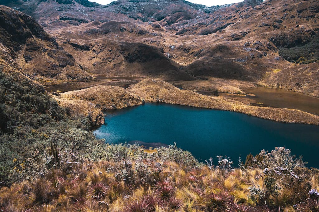 Photo of Lake Near Brown Mountains