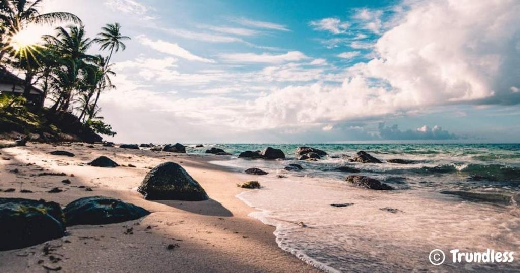 A tropical beach scene with palm trees, rocks, and gentle waves under a cloudy blue sky. Sunlight filters through the trees.