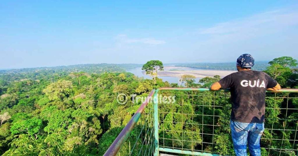 A person stands at a railing overlooking a lush green forest and a winding river under a clear blue sky.