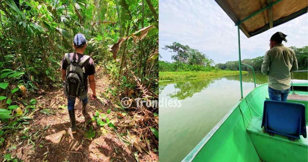 Left: Person walking through dense jungle with a backpack. Right: Person standing on a green boat on a calm river under a cloudy sky.