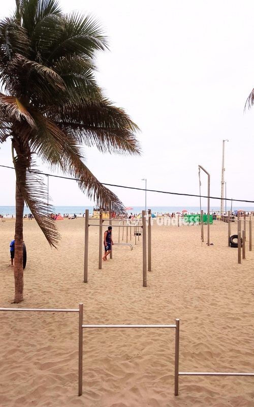 A sandy beach lined with fitness bars and a person exercising. A palm tree graces the left, while people enjoy the ocean in the distance.