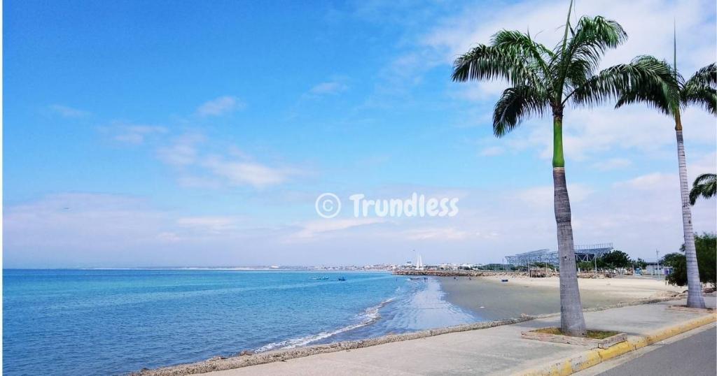 Experience a stunning beachfront view with calm blue waters, a clear sky, and palm trees elegantly lining a paved walkway.