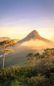 A mountain with a distinct peak is surrounded by a misty landscape, with trees and shrubbery in the foreground under a clear sky.