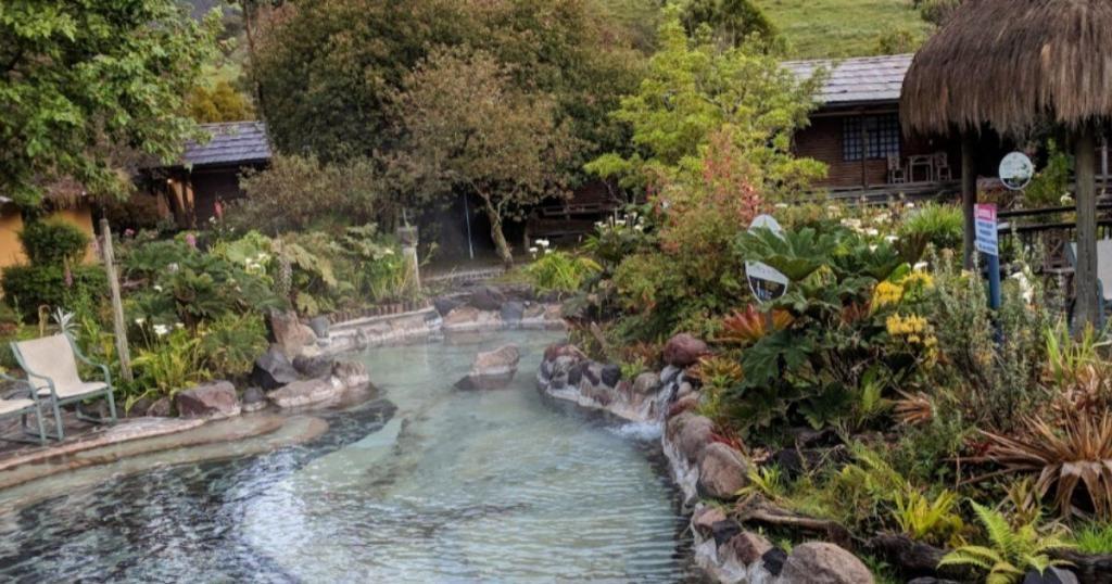 A serene outdoor hot spring surrounded by lush greenery and rocks, with a wooden building in the background.