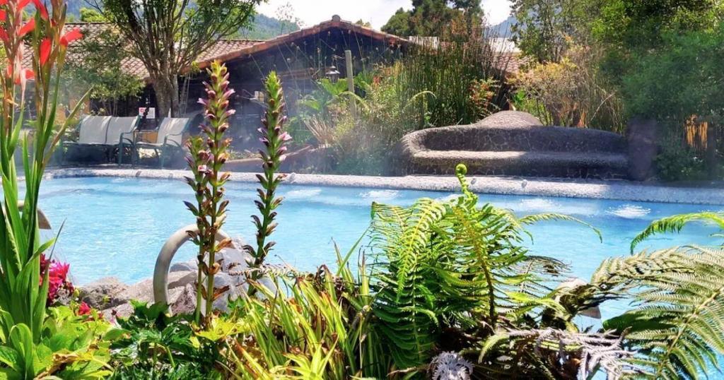 A serene outdoor pool surrounded by lush greenery and tropical plants with lounge chairs and a rustic building in the background.