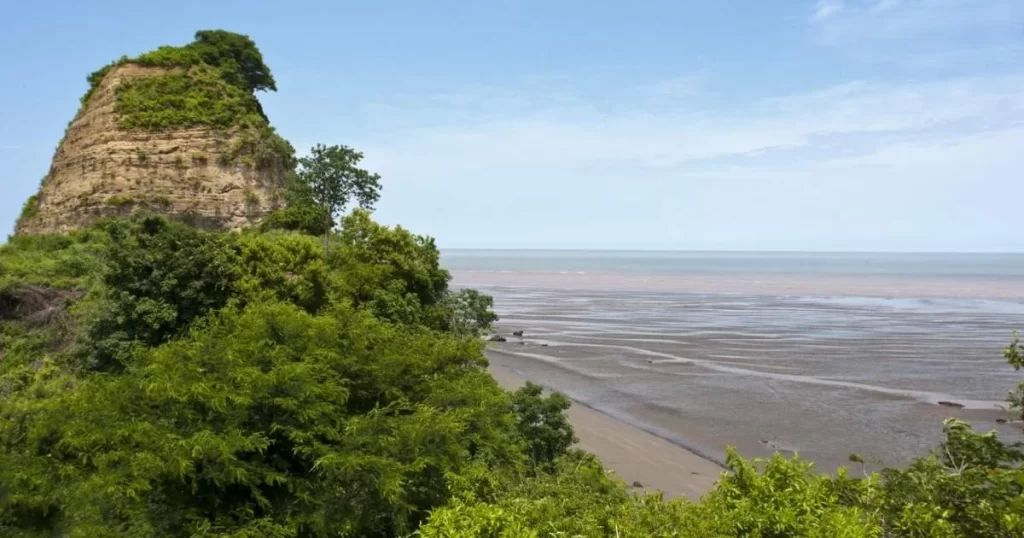 Coastal landscape featuring a rocky hill topped with greenery on the left and expansive mudflats leading to the sea under a clear blue sky.