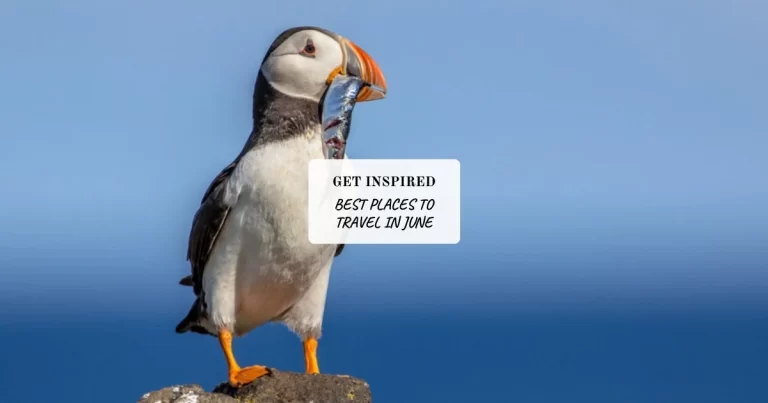 A puffin stands on a rock with a fish in its beak against a blue sky background. Text overlay reads: "Get Inspired. Best Places to Travel in June.